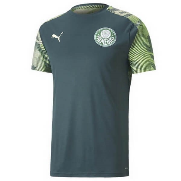 Camiseta de Entrenamiento Palmeiras 2020-21 Verde